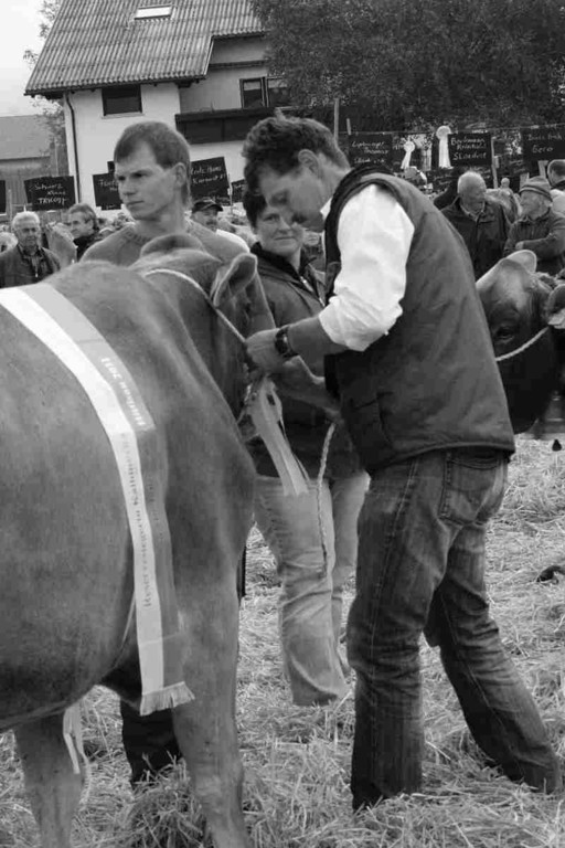 viehausstellung hittisau51_jpg-1319785243