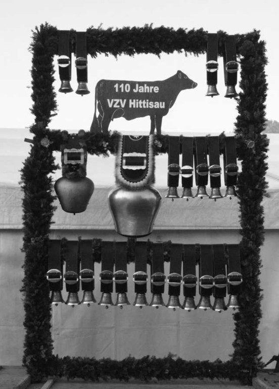 viehausstellung hittisau56_jpg-1319785248