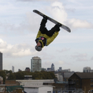 DAB1915-20101030.jpg