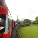 DSC01951_JPG-1319795445