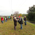 DSC01953_JPG-1319795764