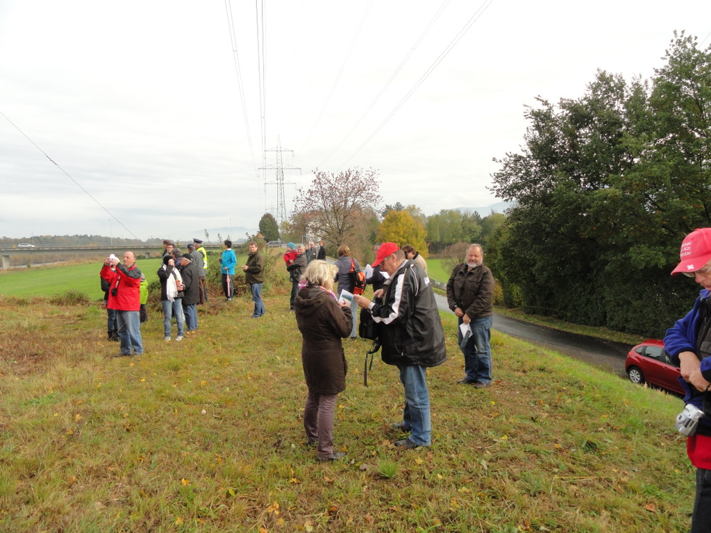 DSC01953_JPG-1319795764