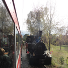 DSC02003_JPG-1319799035