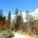 normal_281011herbstgmaktivnews03.JPG