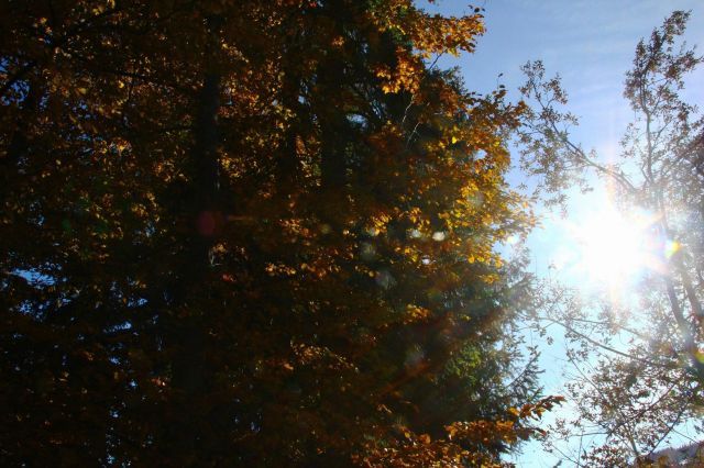normal_281011herbstgmaktivnews08.JPG