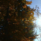 normal_281011herbstgmaktivnews08.JPG