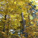 normal_281011herbstgmaktivnews09.JPG