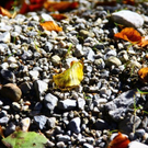 normal_281011herbstgmaktivnews10.JPG