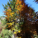 normal_281011herbstgmaktivnews13.JPG