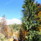 normal_281011herbstgmaktivnews15.JPG