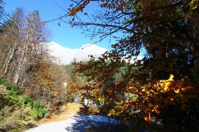 normal_281011herbstgmaktivnews17.JPG
