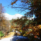 normal_281011herbstgmaktivnews17.JPG