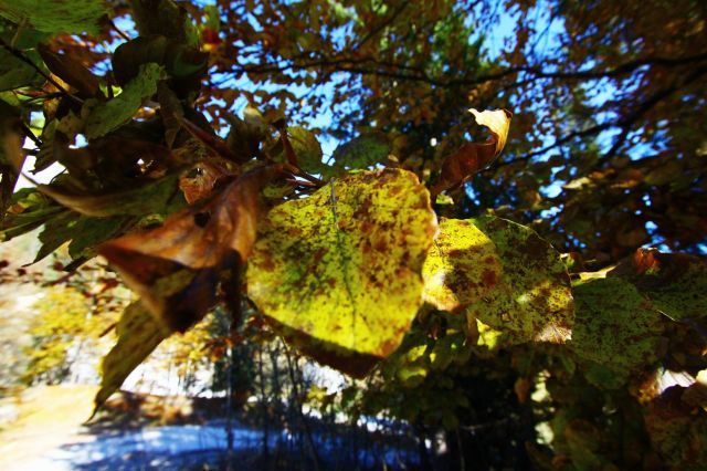 normal_281011herbstgmaktivnews23.JPG