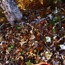 normal_281011herbstgmaktivnews27.JPG