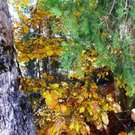 normal_281011herbstgmaktivnews31.JPG