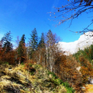 normal_281011herbstgmaktivnews32.JPG