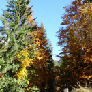 normal_281011herbstgmaktivnews33.JPG