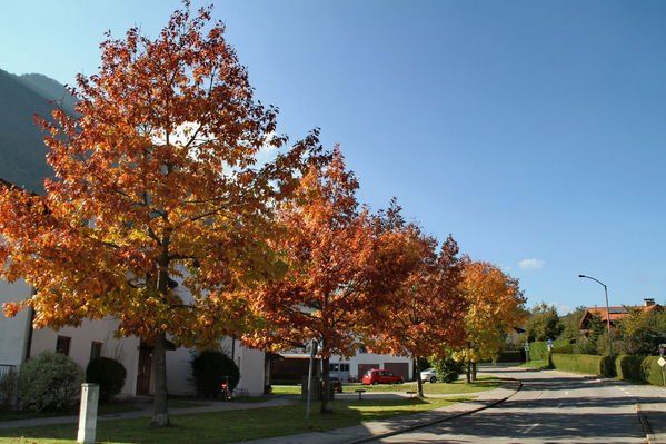 normal_28_10_2011fmt_herbst_fm_04.jpg