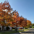 normal_28_10_2011fmt_herbst_fm_04.jpg