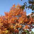 normal_28_10_2011fmt_herbst_fm_05.jpg