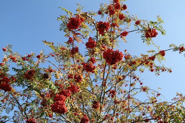 normal_28_10_2011fmt_herbst_fm_06.jpg