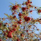 normal_28_10_2011fmt_herbst_fm_06.jpg