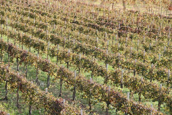 normal_28_10_2011fmt_herbst_fm_07.jpg