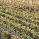 normal_28_10_2011fmt_herbst_fm_07.jpg