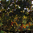 normal_28_10_2011fmt_herbst_fm_08.jpg