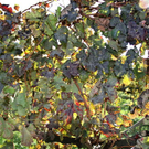 normal_28_10_2011fmt_herbst_fm_09.jpg