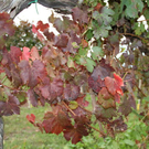 normal_28_10_2011fmt_herbst_fm_12.jpg