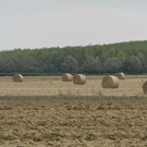 normal_28_10_2011fmt_herbst_fm_16.jpg