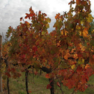 normal_28_10_2011fmt_herbst_fm_17.jpg