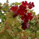 normal_28_10_2011fmt_herbst_fm_20.jpg