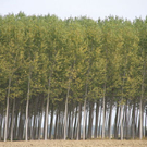 normal_28_10_2011fmt_herbst_fm_21.jpg