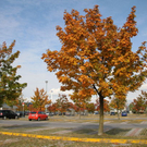 normal_28_10_2011fmt_herbst_fm_22.jpg