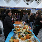 normal_28_10_2011fmt_herbst_fm_25.jpg