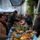 normal_28_10_2011fmt_herbst_fm_31.jpg
