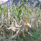 normal_28_10_2011fmt_herbst_fm_32.jpg