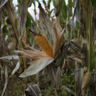 normal_28_10_2011fmt_herbst_fm_34.jpg