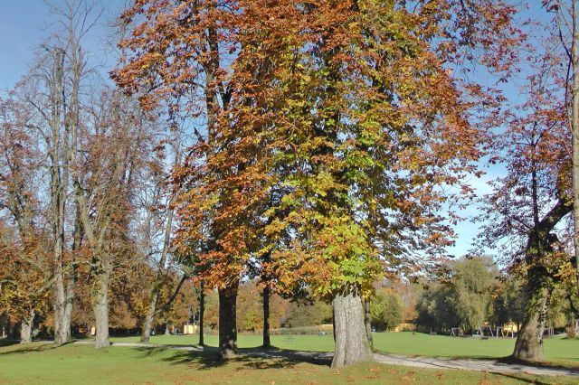 normal_28102011hellbrunnwm2aktivnews_04.JPG