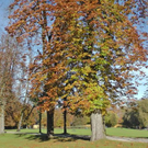 normal_28102011hellbrunnwm2aktivnews_04.JPG