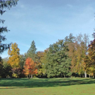 normal_28102011hellbrunnwm2aktivnews_05.JPG