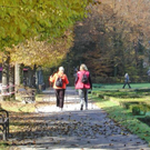 normal_28102011hellbrunnwm2aktivnews_07.JPG