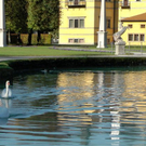 normal_28102011hellbrunnwm2aktivnews_09.JPG