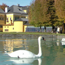 normal_28102011hellbrunnwm2aktivnews_11.JPG