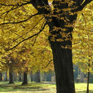 normal_28102011hellbrunnwm2aktivnews_16.JPG