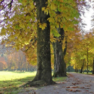 normal_28102011hellbrunnwm2aktivnews_17.JPG