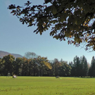 normal_28102011hellbrunnwm2aktivnews_19.JPG
