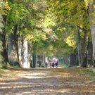 normal_28102011hellbrunnwm2aktivnews_21.JPG